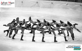 Patineuses artistiques