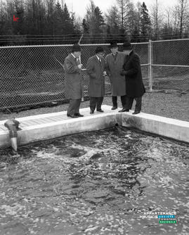 008 - Visite bassin