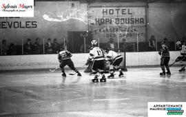 Joueurs de hockey