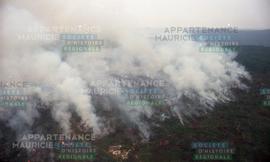 Incendie de forêt