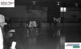 Patineuses artistiques en action