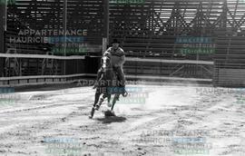 Cavalier sur un cheval